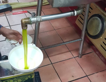 Insaccamento dell'Olio Novello appena molito in latta di alluminio (frantoio Cavarretta)